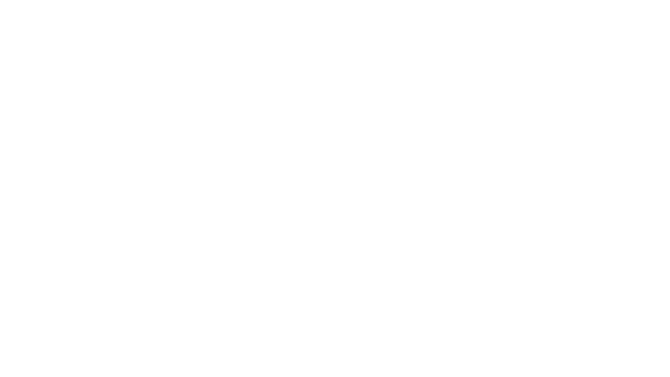 Insite Surveying