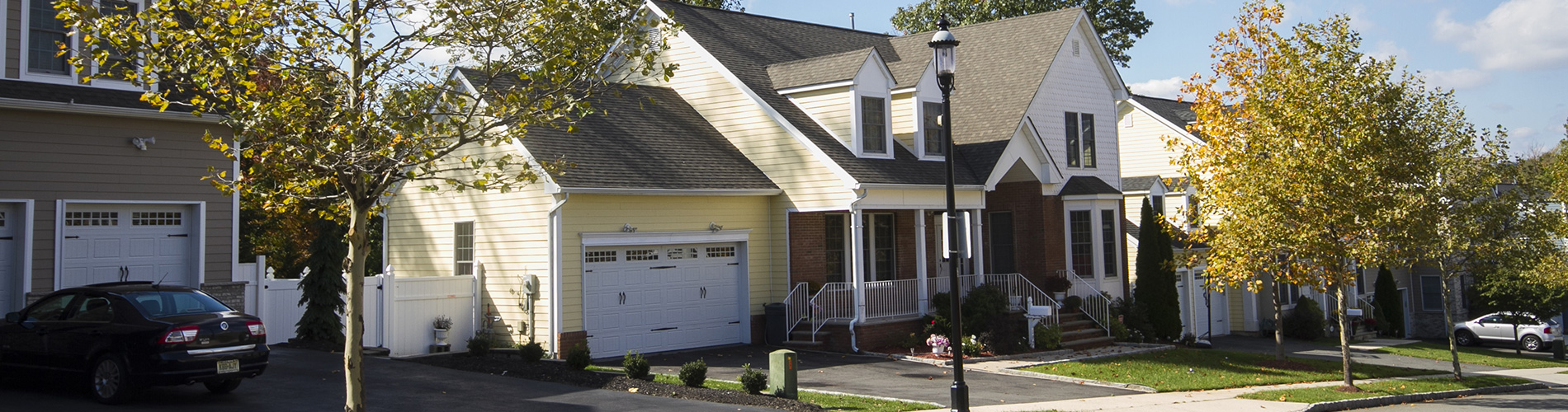 Landscape Designer
