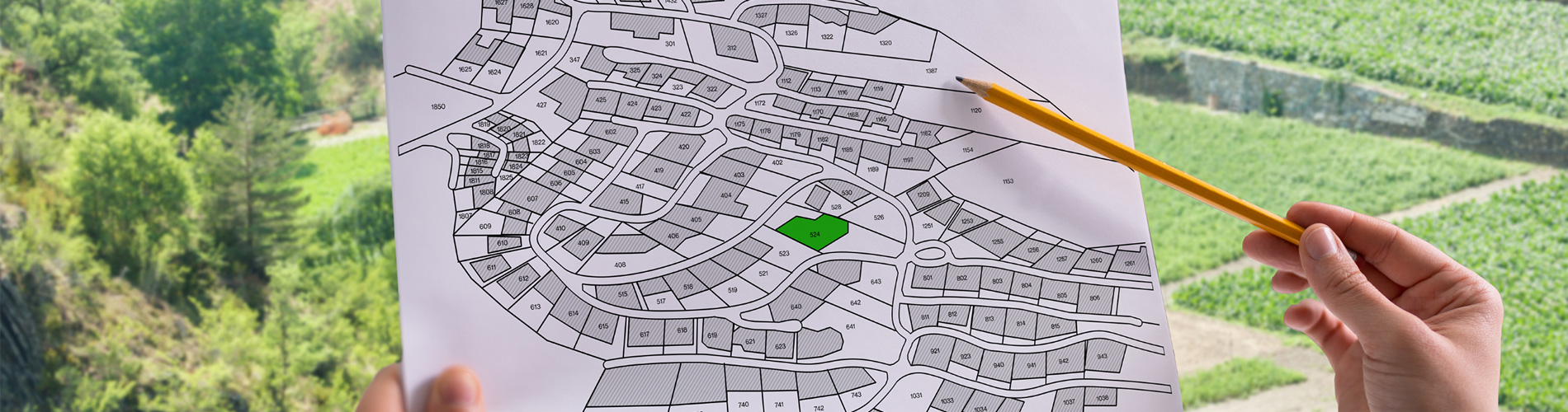 Professional Planning