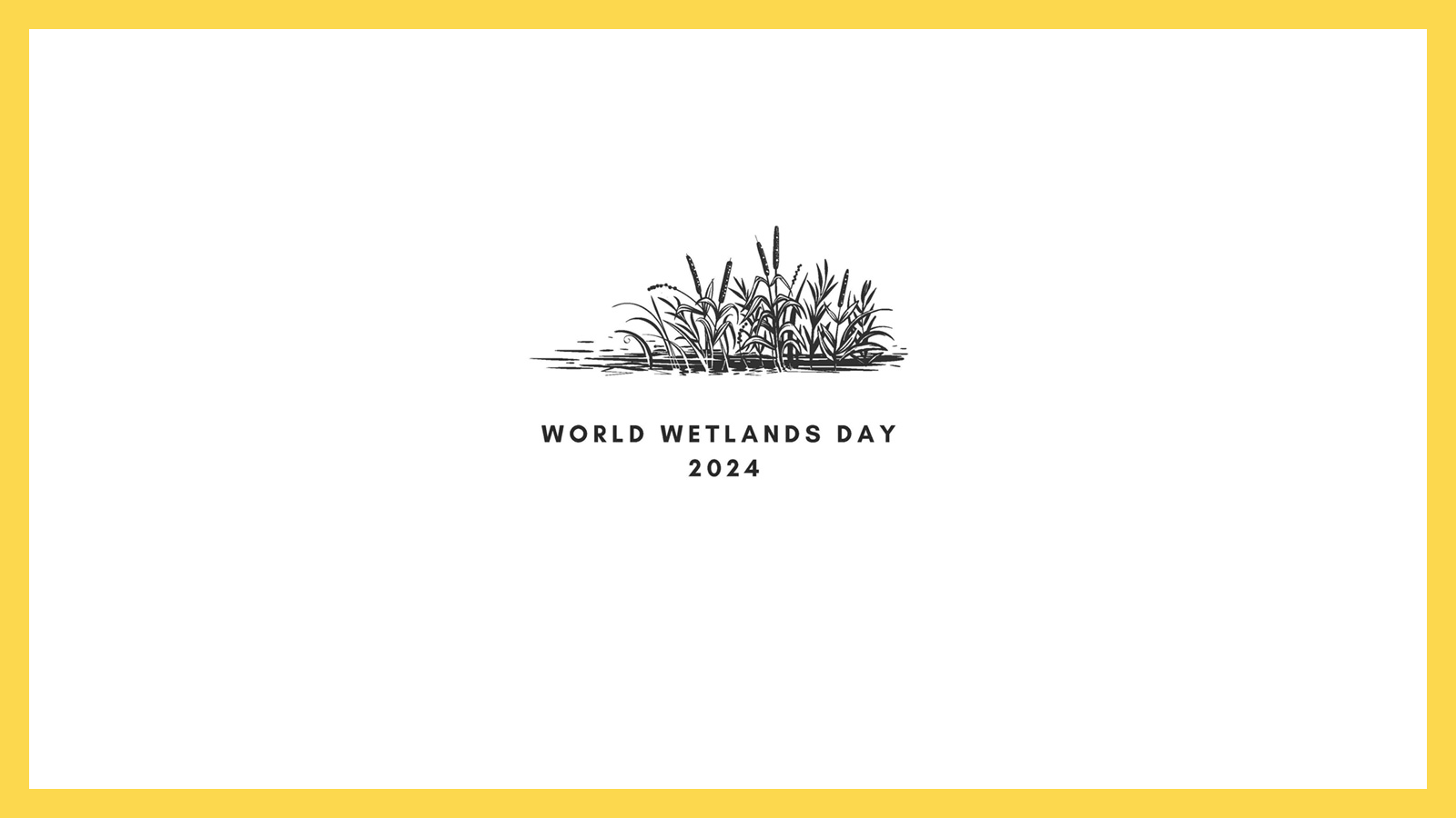 World Wetlands Day 2024